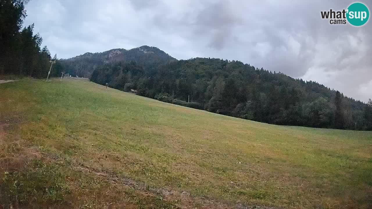RTC Skigebiet Kranjska Gora | Brsnina