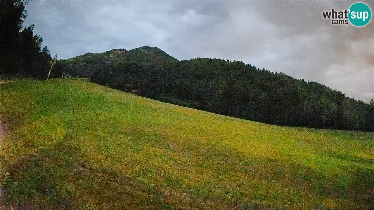 Kranjska Gora Station de ski | Brsnina