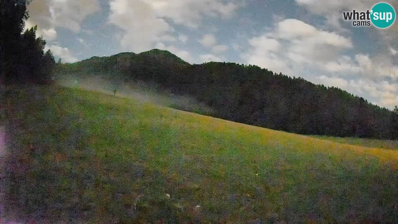 Esquí Kranjska Gora | Brsnina