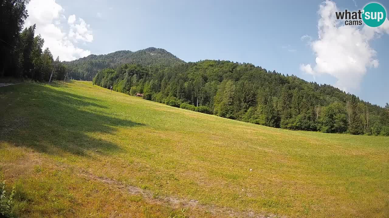 Kranjska Gora Station de ski | Brsnina