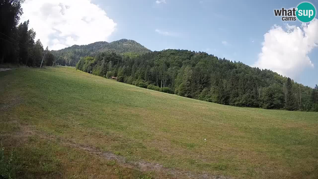 Ski Kranjska Gora | Brsnina