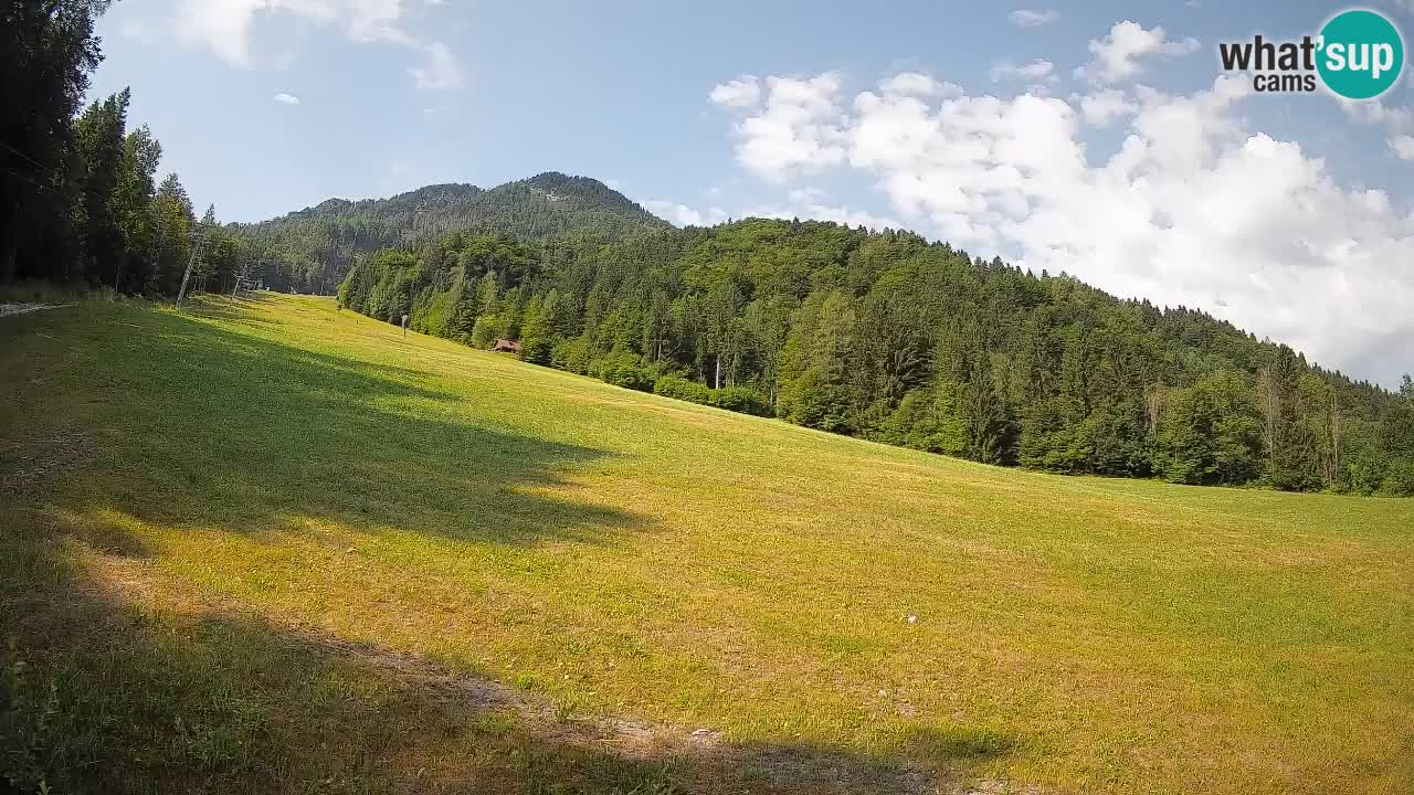 Esquí Kranjska Gora | Brsnina