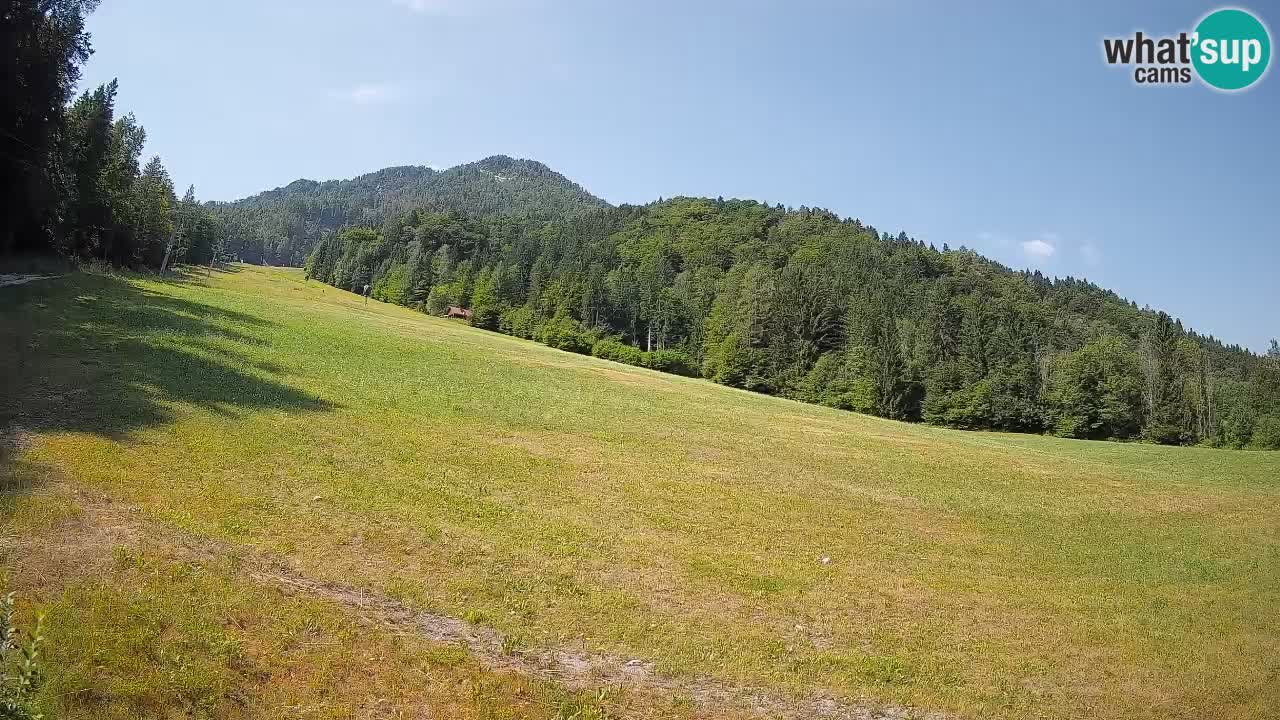 Comprensorio sciistico Kranjska Gora | Brsnina