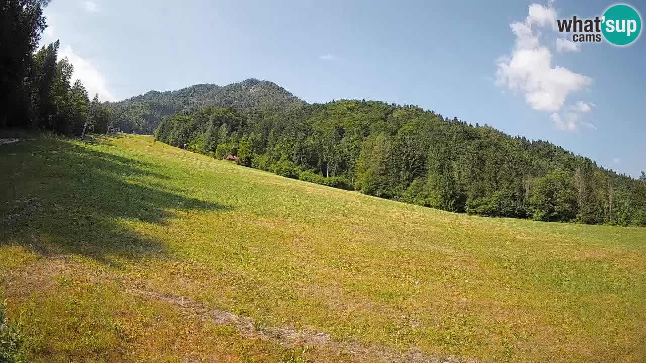 RTC Kranjska Gora | Brsnina