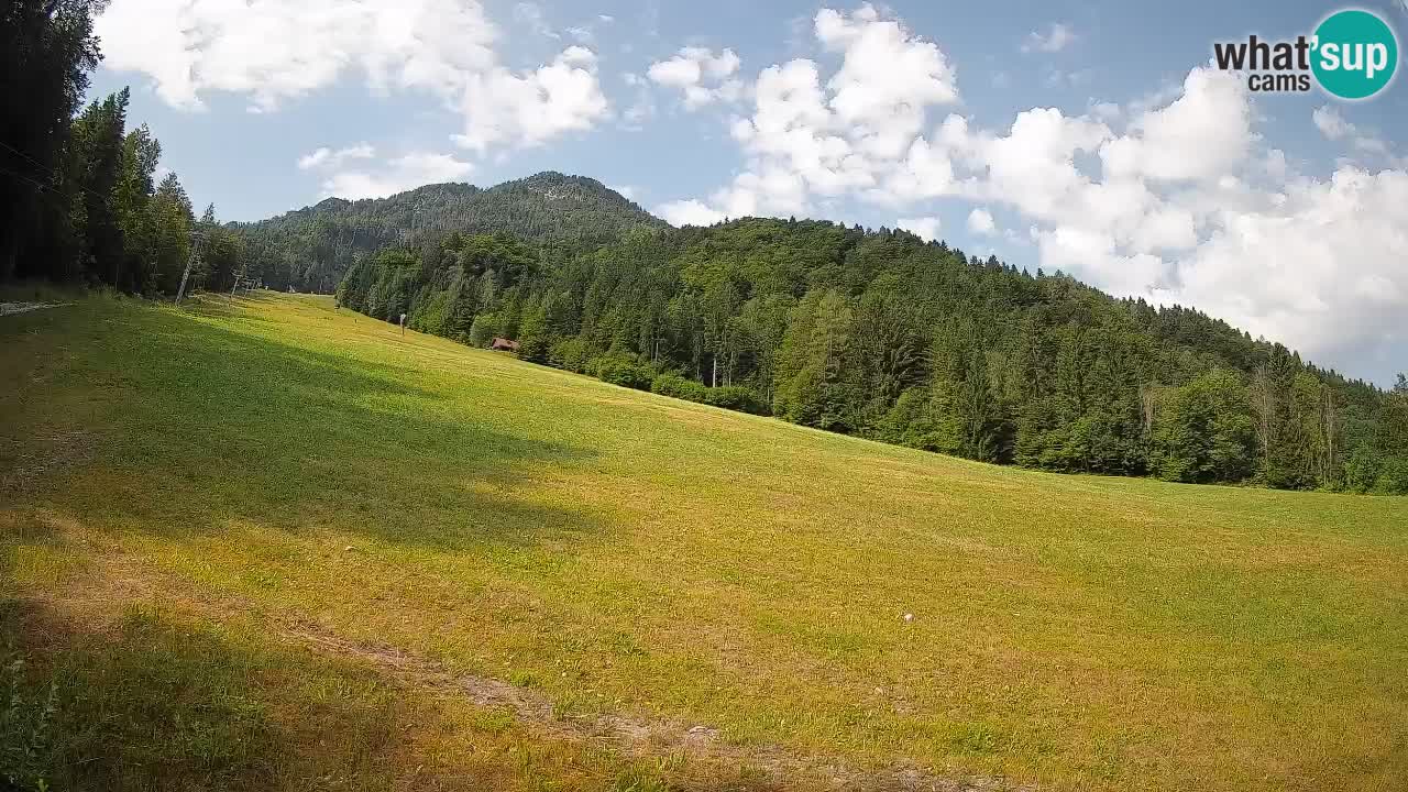 RTC Kranjska Gora | Brsnina