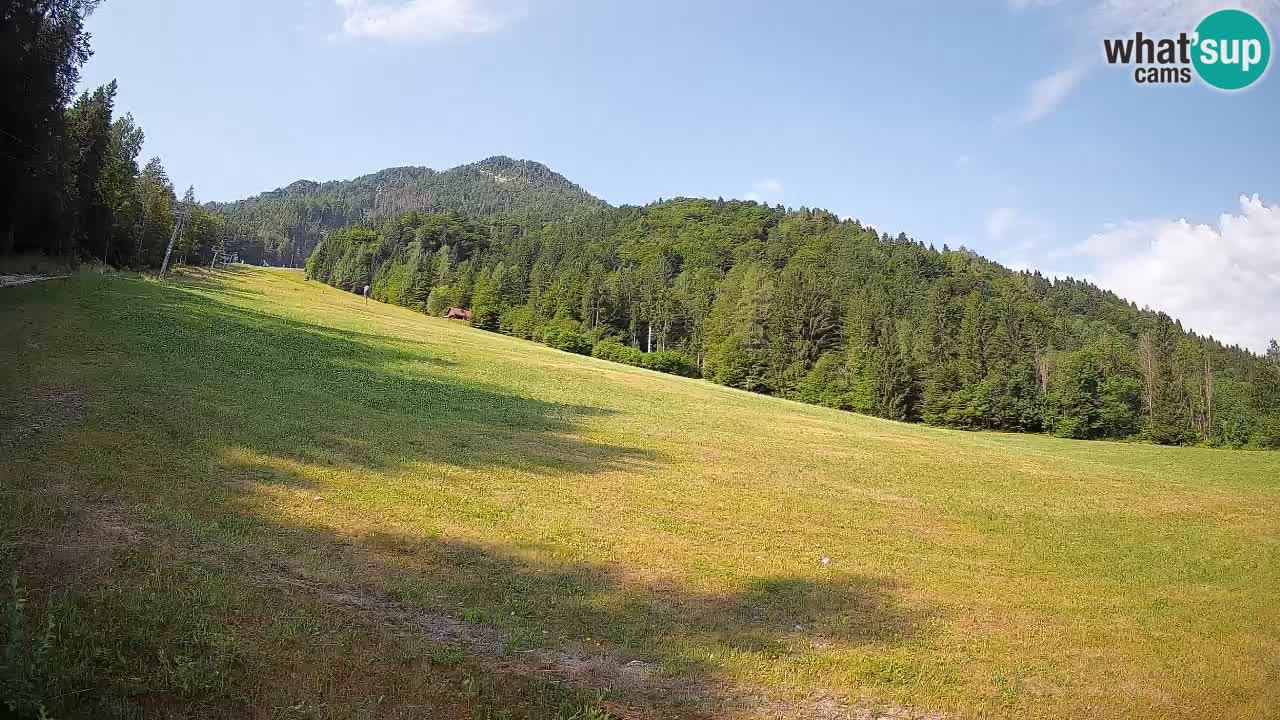RTC Kranjska Gora | Brsnina