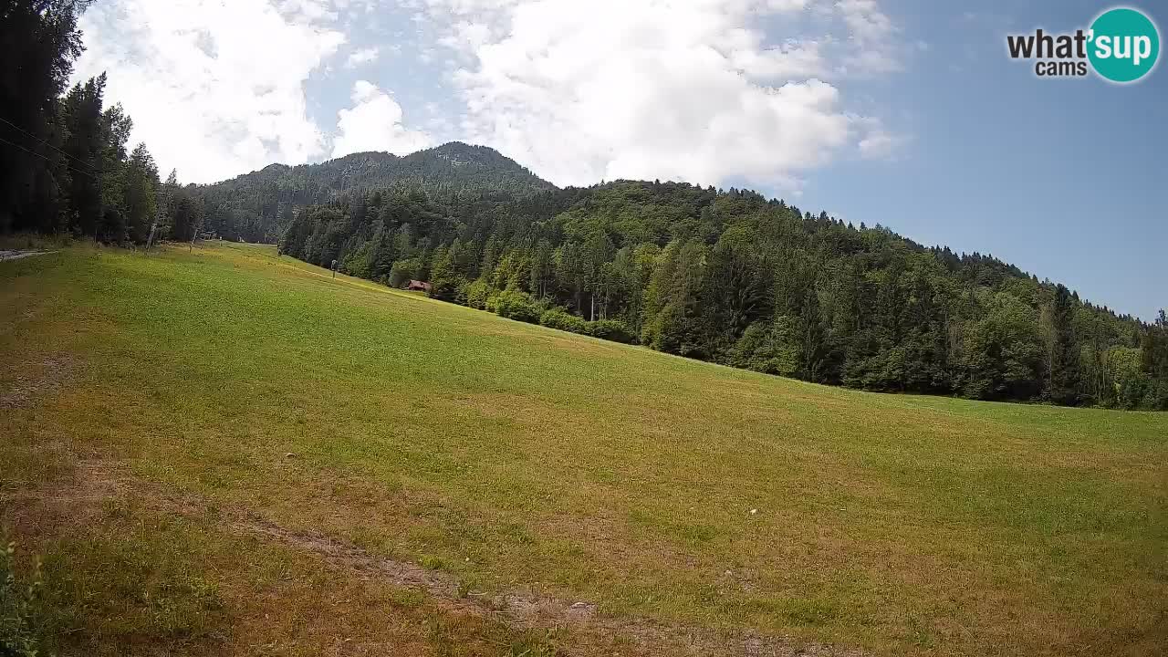 RTC Kranjska Gora | Brsnina