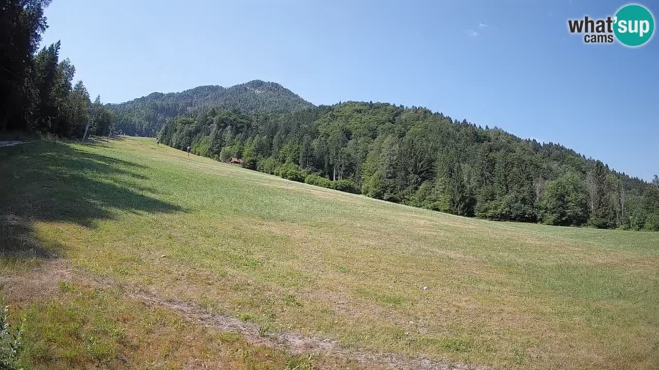 Kranjska Gora Station de ski | Brsnina