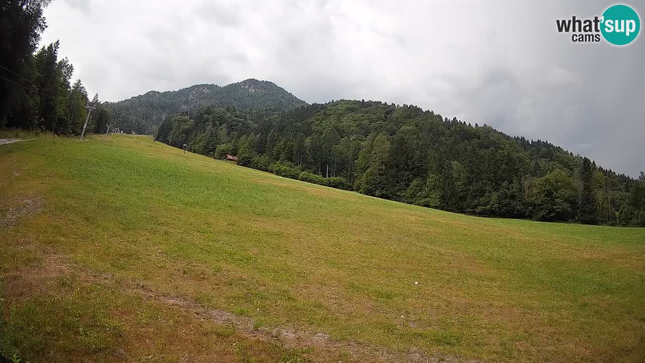 Esquí Kranjska Gora | Brsnina