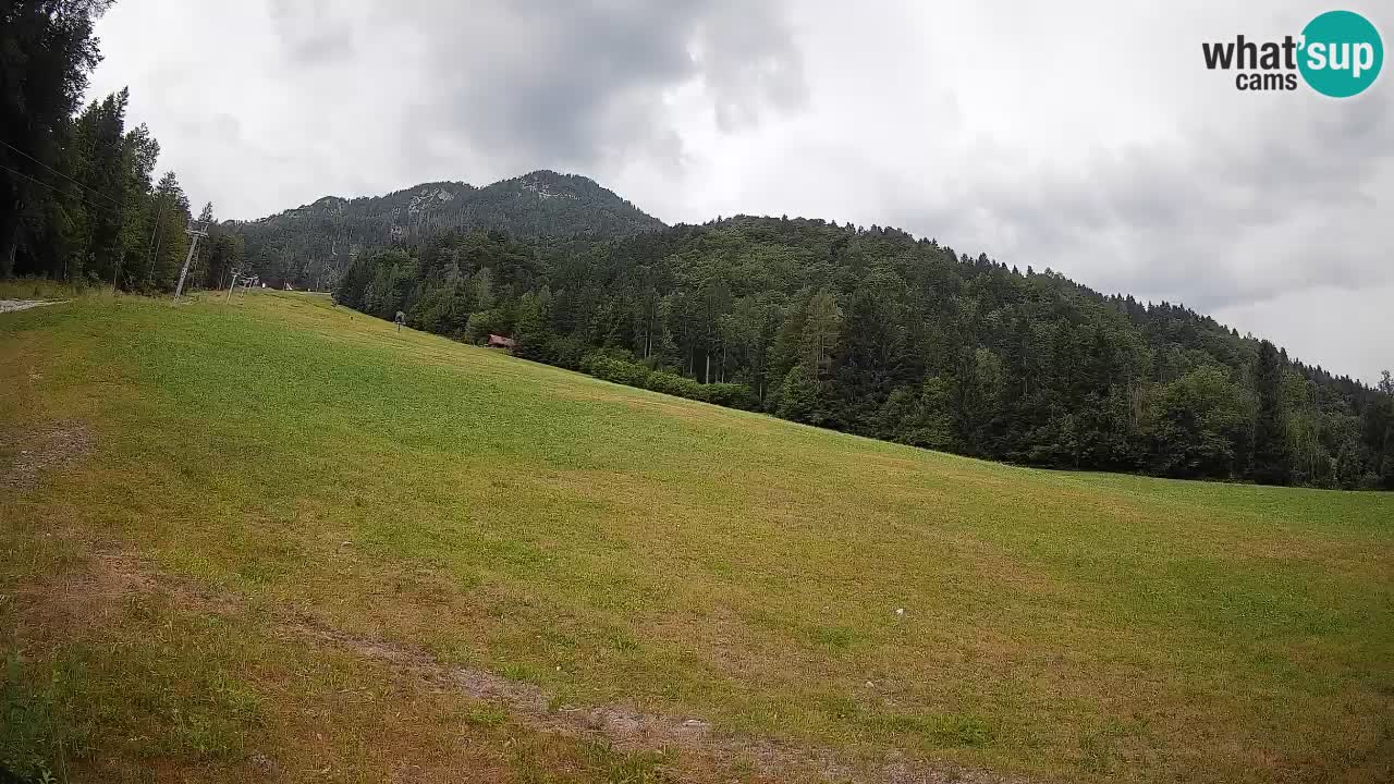 Esquí Kranjska Gora | Brsnina