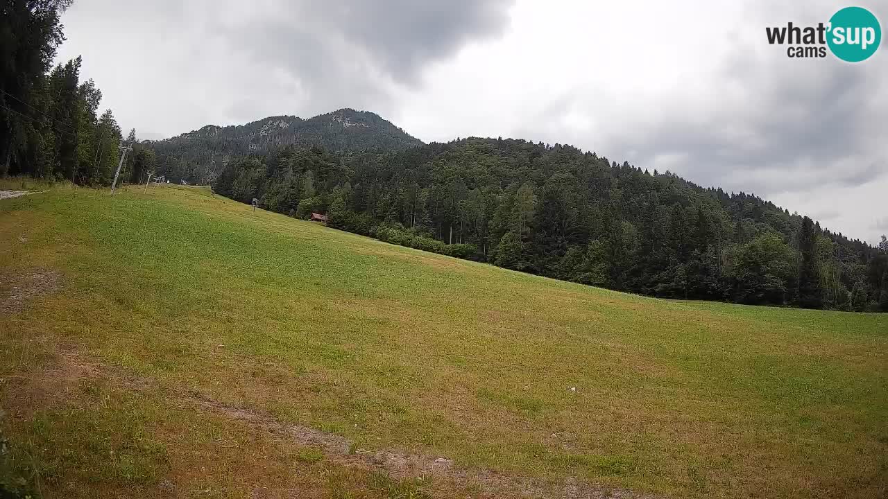 Esquí Kranjska Gora | Brsnina