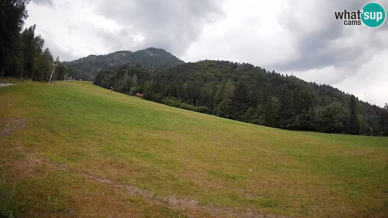 RTC Kranjska Gora | Brsnina