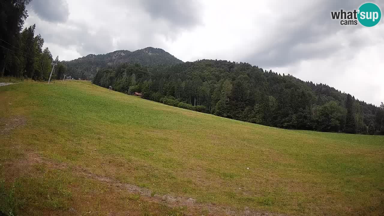 Ski Kranjska Gora | Brsnina