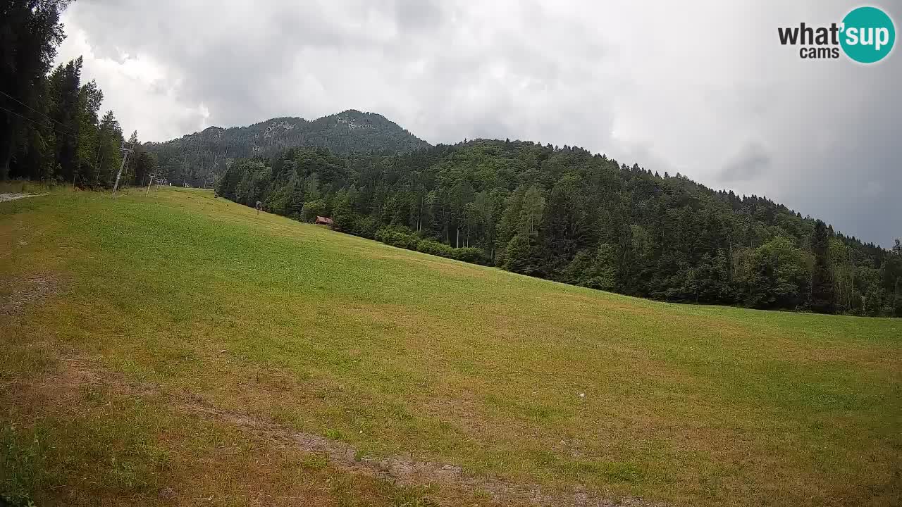 Ski Kranjska Gora | Brsnina
