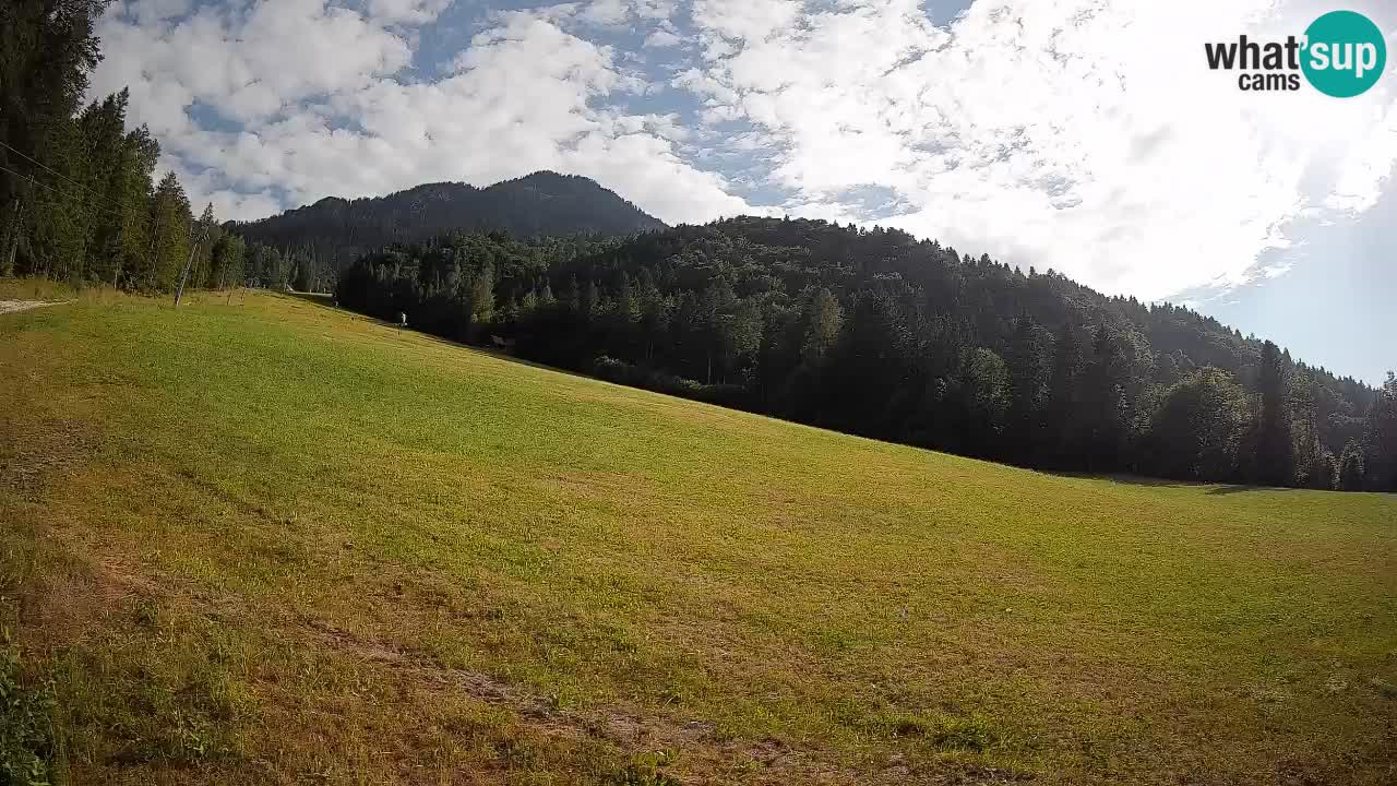 Ski Kranjska Gora | Brsnina