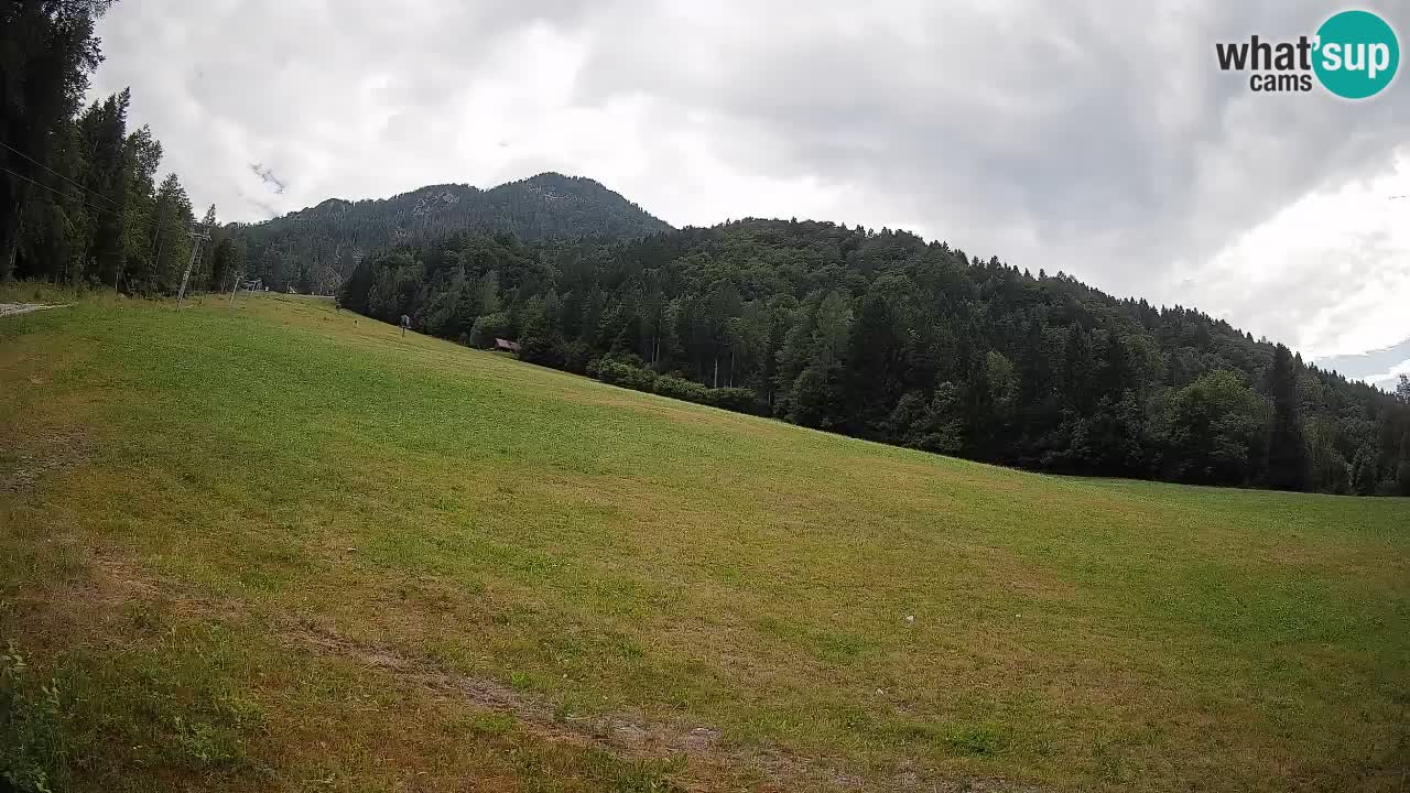 Comprensorio sciistico Kranjska Gora | Brsnina