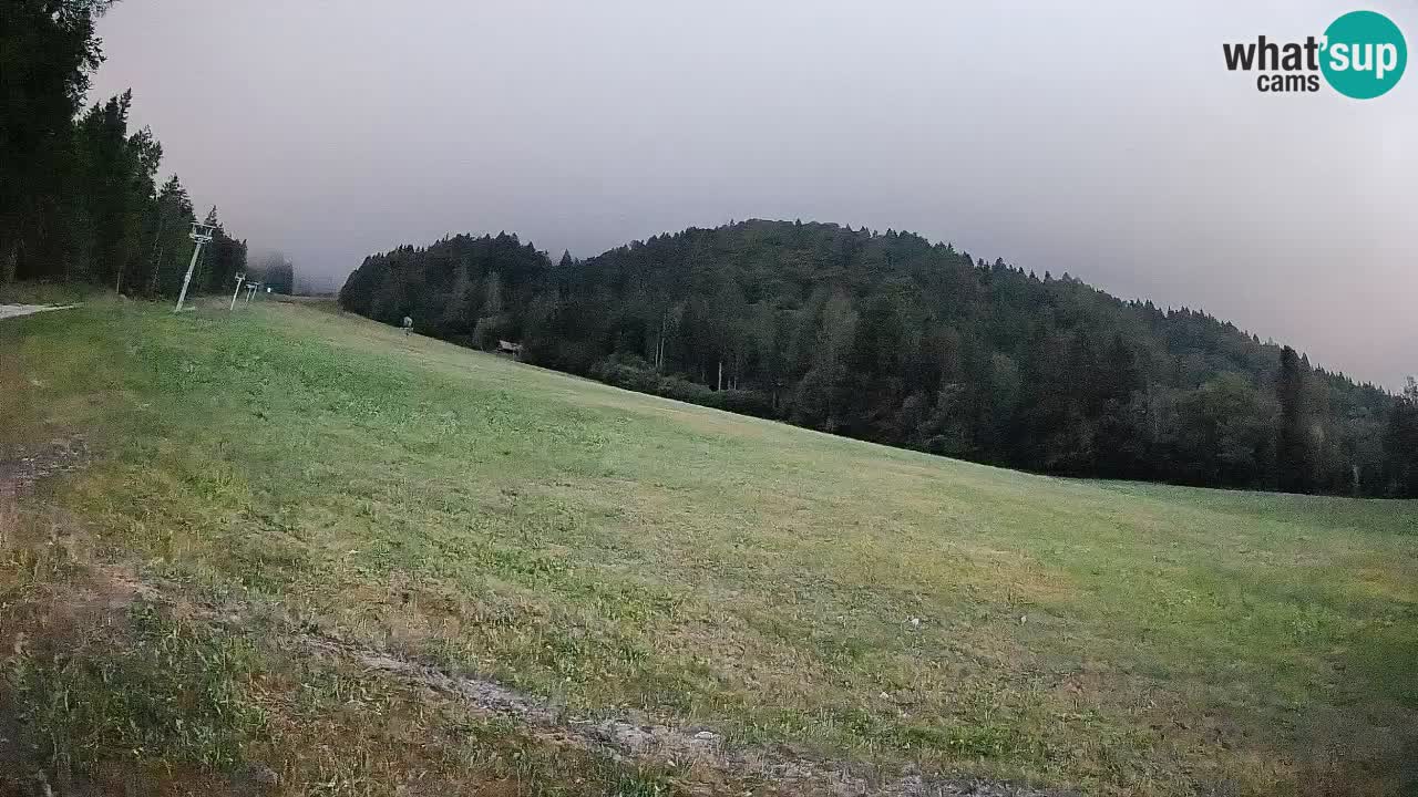 Kranjska Gora Station de ski | Brsnina