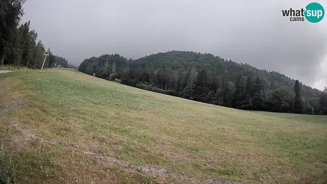 Esquí Kranjska Gora | Brsnina