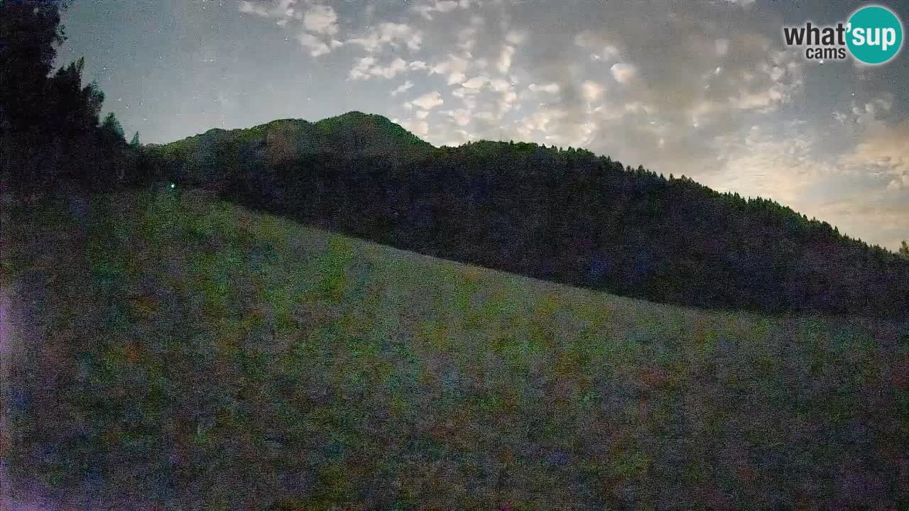 RTC Kranjska Gora | Brsnina