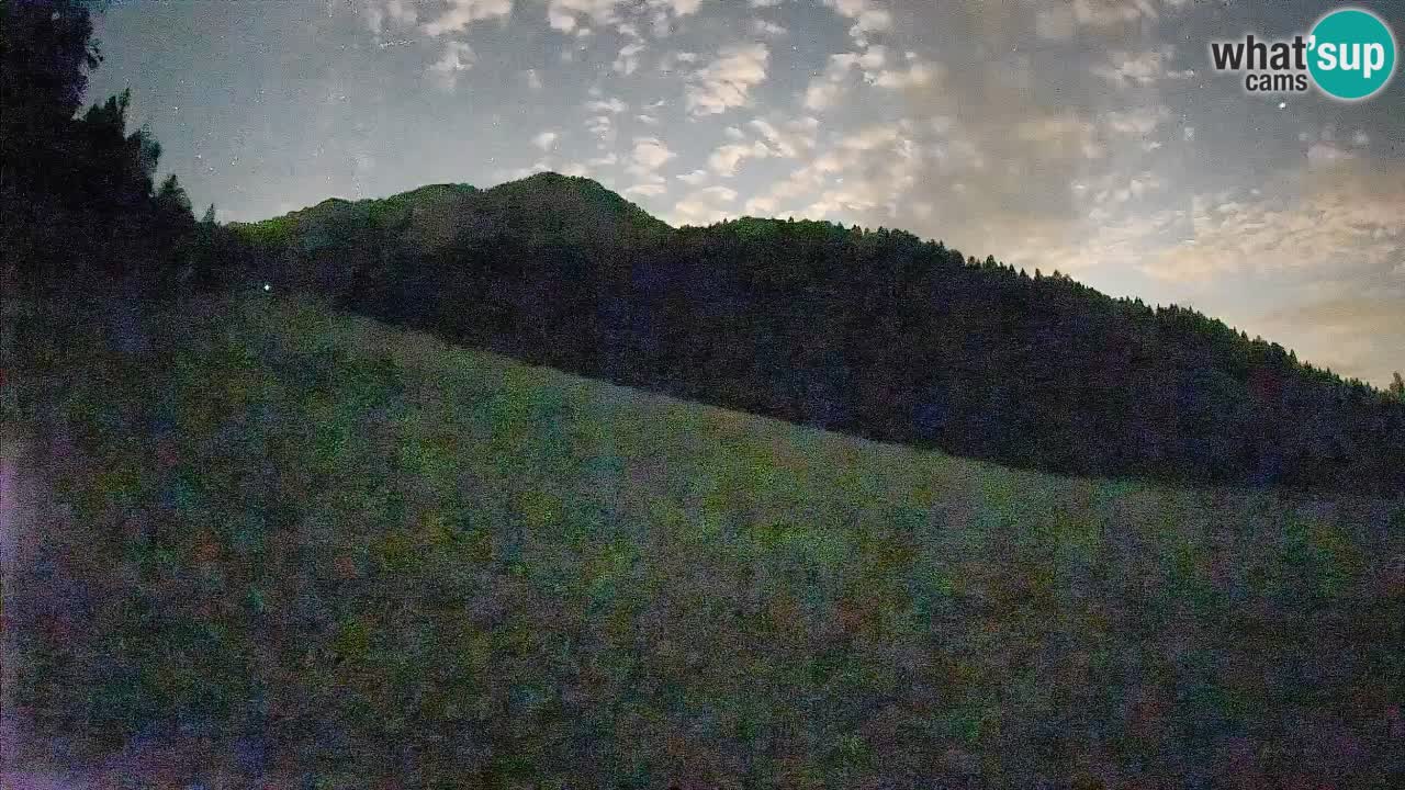 RTC Kranjska Gora | Brsnina