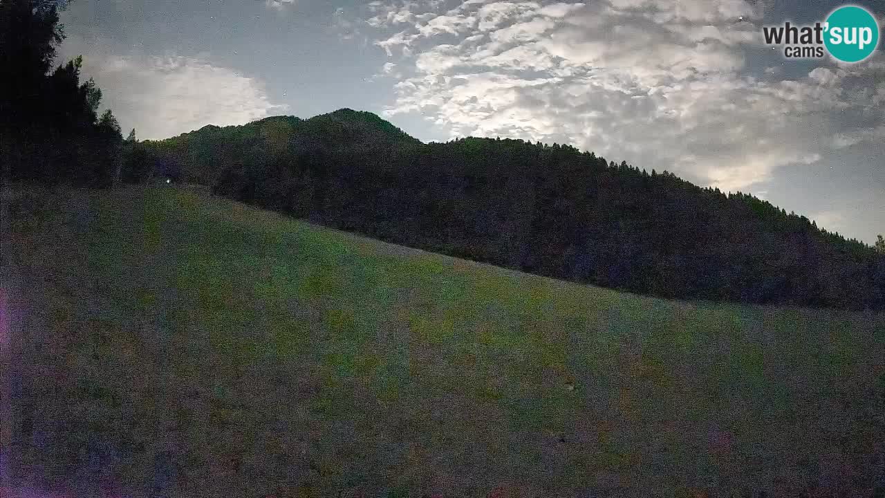 Ski Kranjska Gora | Brsnina