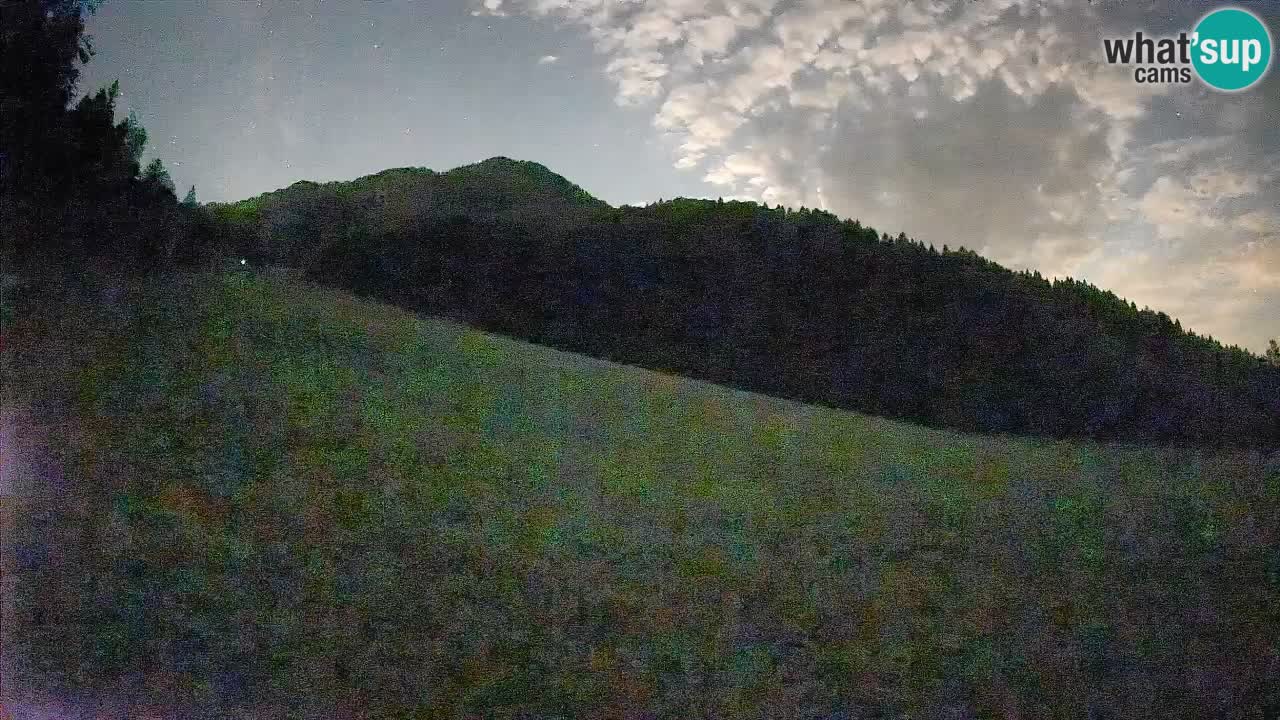 Comprensorio sciistico Kranjska Gora | Brsnina