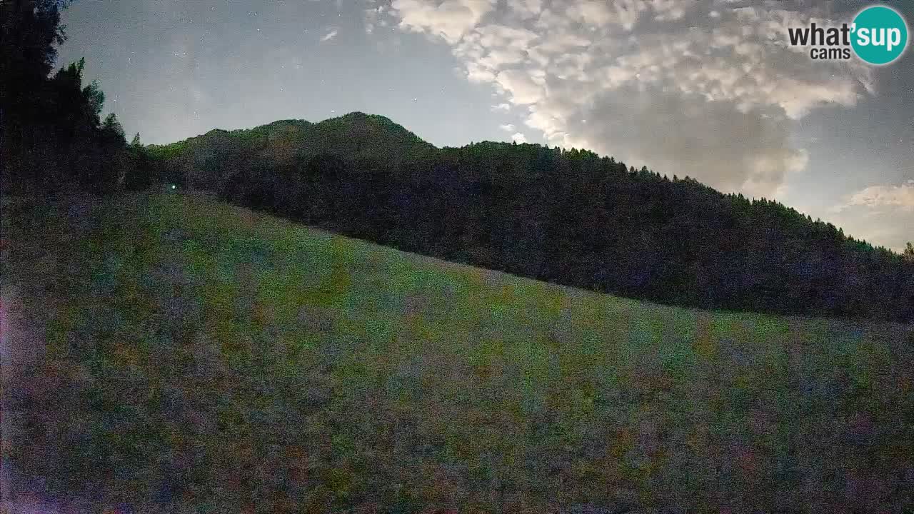 Esquí Kranjska Gora | Brsnina