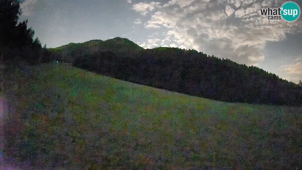 Comprensorio sciistico Kranjska Gora | Brsnina