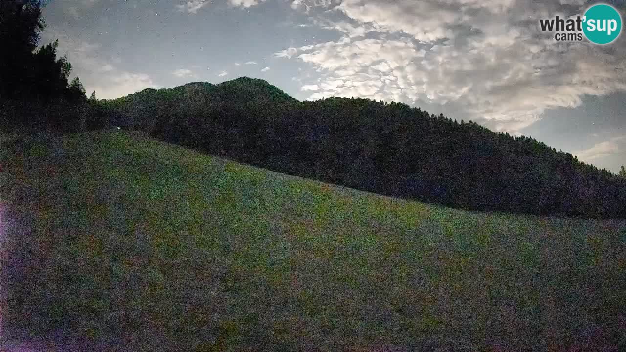 Comprensorio sciistico Kranjska Gora | Brsnina