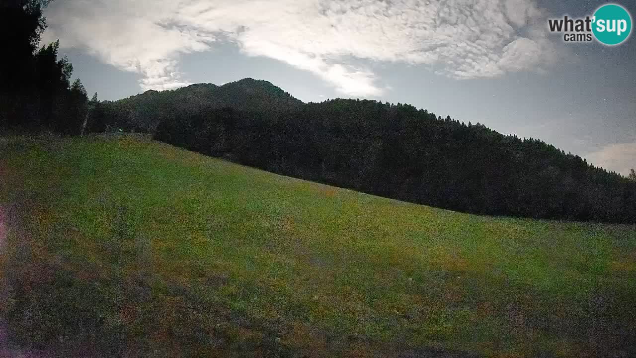 Comprensorio sciistico Kranjska Gora | Brsnina