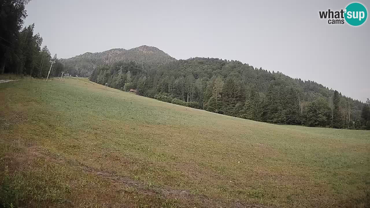Kranjska Gora Station de ski | Brsnina