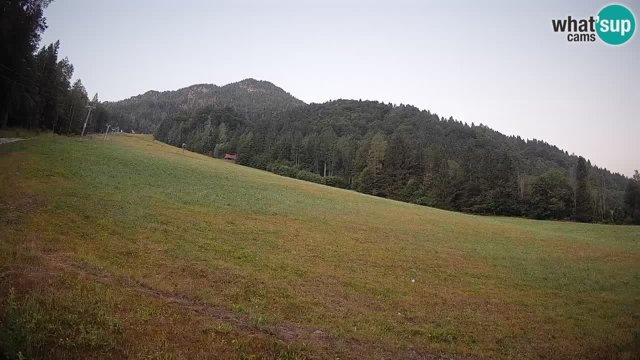 RTC Skigebiet Kranjska Gora | Brsnina