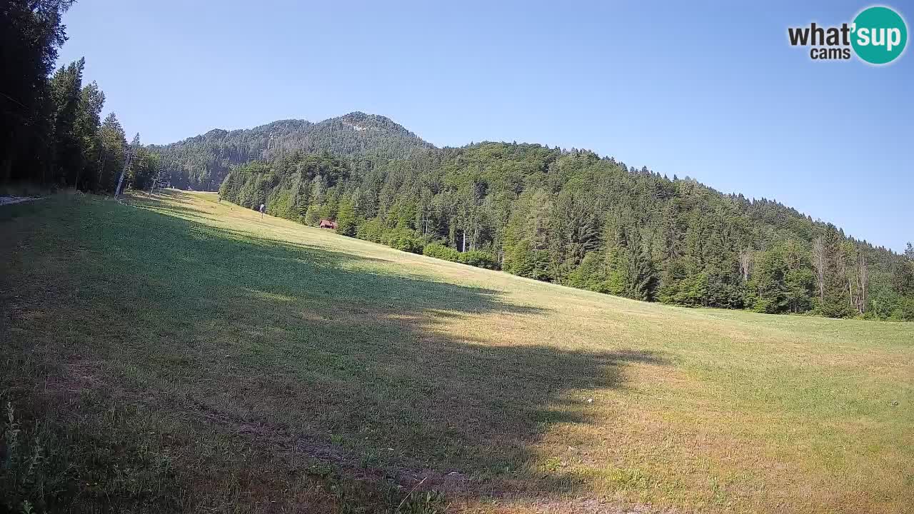 RTC Kranjska Gora | Brsnina