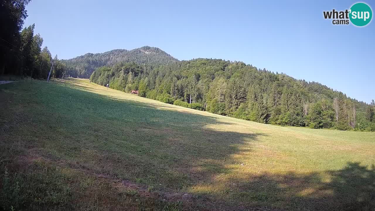 RTC Kranjska Gora | Brsnina