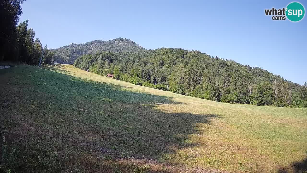 RTC Kranjska Gora | Brsnina