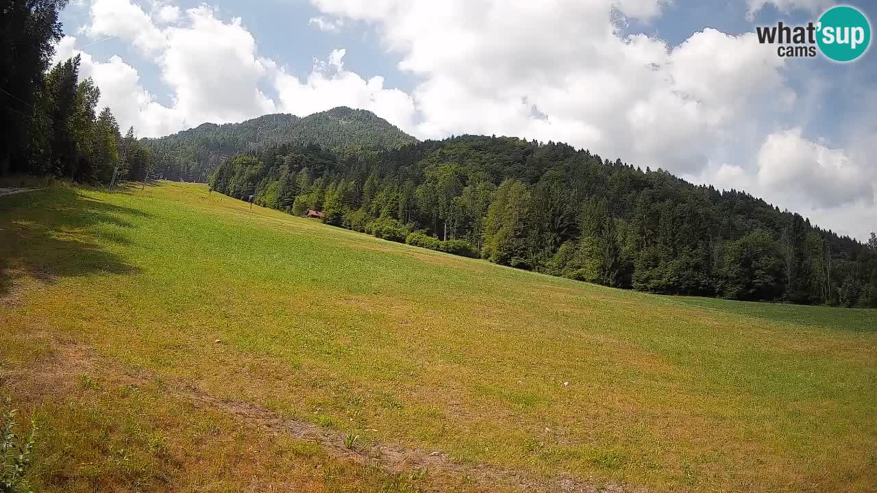 RTC Kranjska Gora | Brsnina