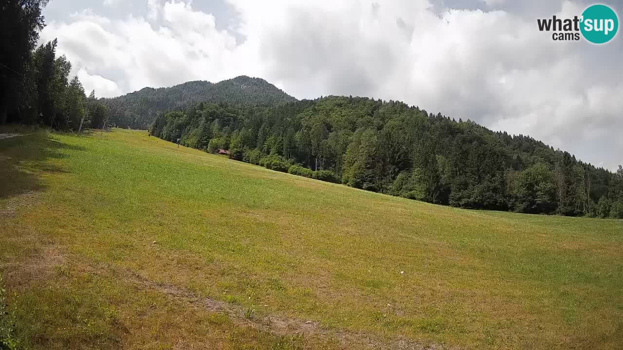 RTC Kranjska Gora | Brsnina