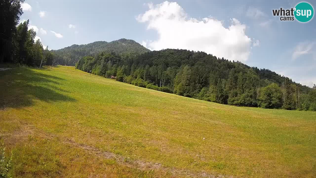 RTC Kranjska Gora | Brsnina