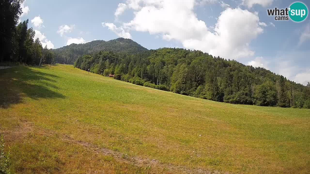 Ski Kranjska Gora | Brsnina