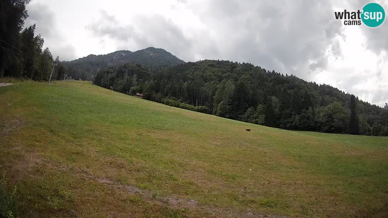 Kranjska Gora SKIJANJE | Brsnina