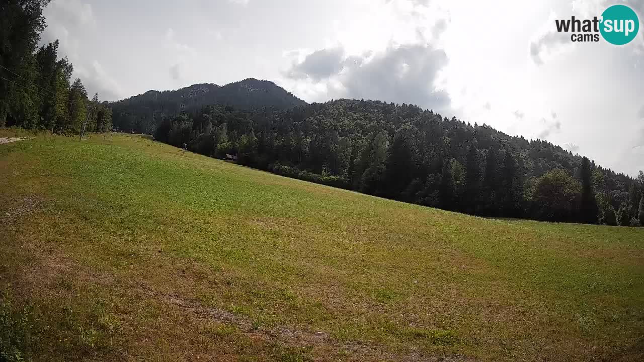 RTC Kranjska Gora | Brsnina