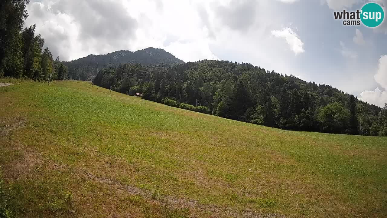 Ski Kranjska Gora | Brsnina