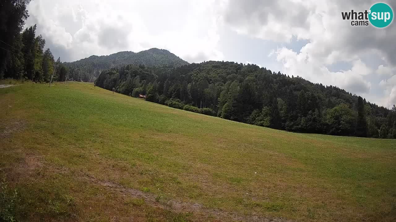 Esquí Kranjska Gora | Brsnina