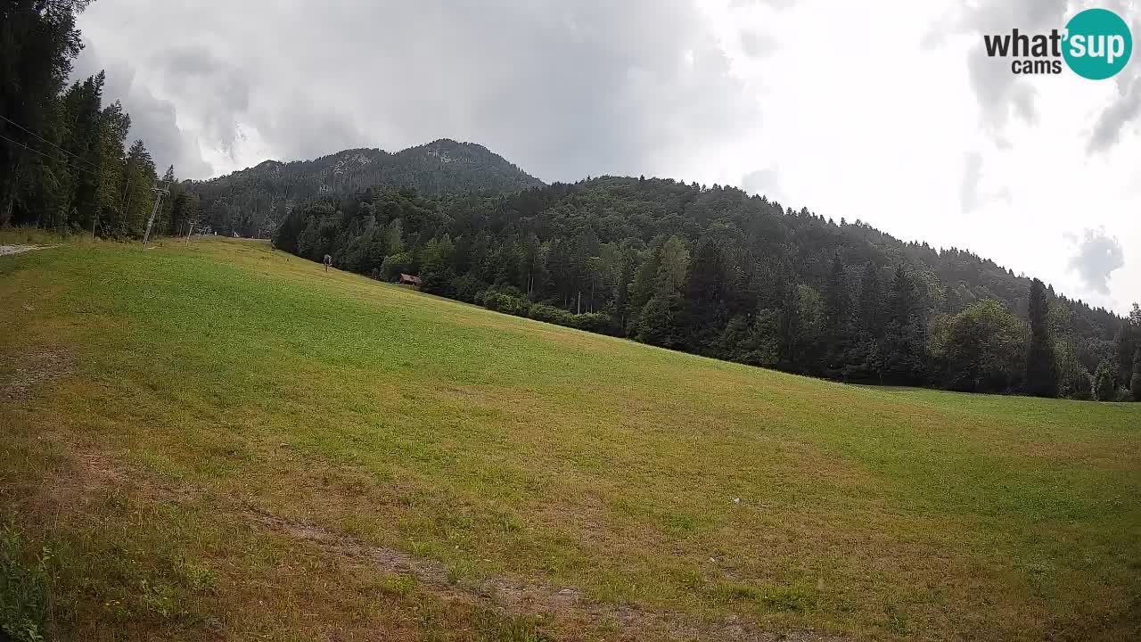 Comprensorio sciistico Kranjska Gora | Brsnina