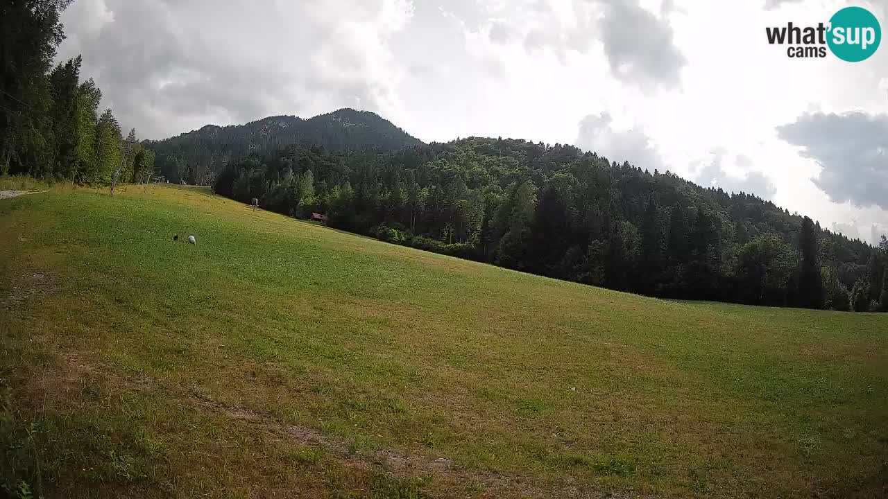 RTC Skigebiet Kranjska Gora | Brsnina