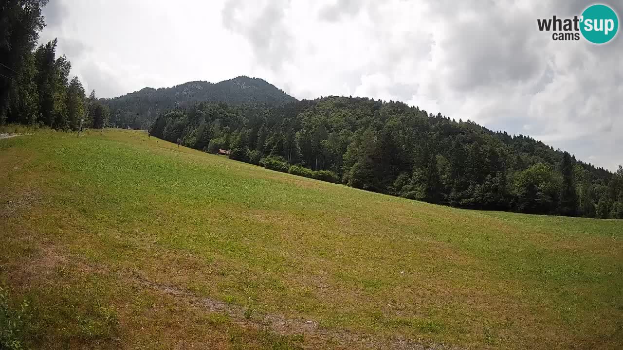 RTC Kranjska Gora | Brsnina