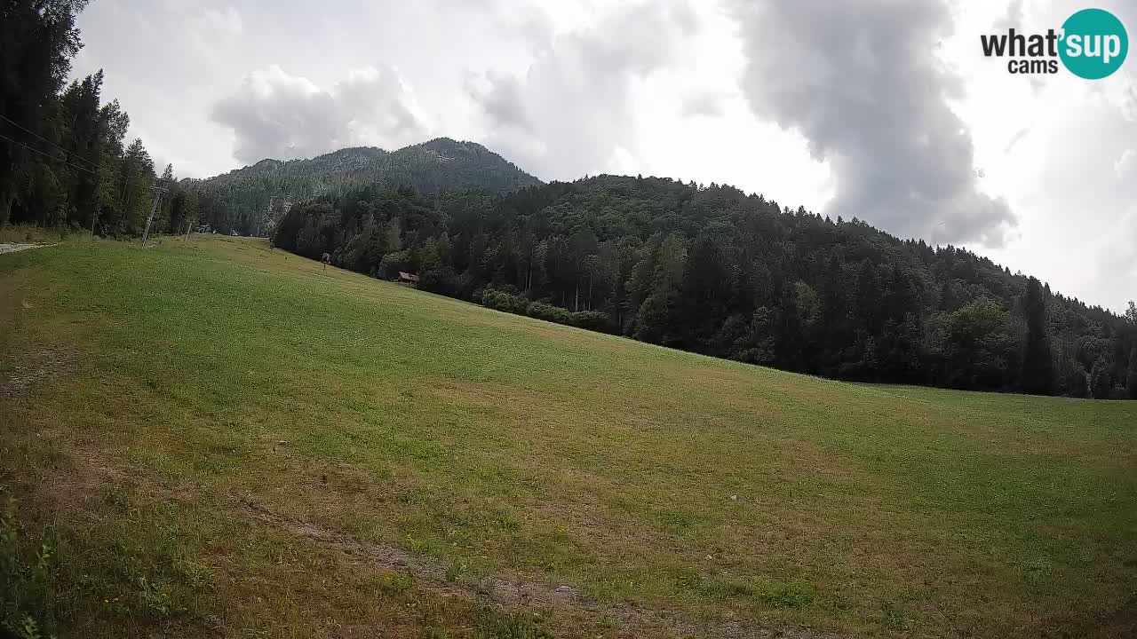 Kranjska Gora Station de ski | Brsnina