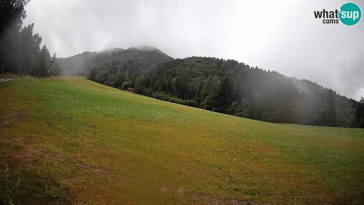 Ski Kranjska Gora | Brsnina