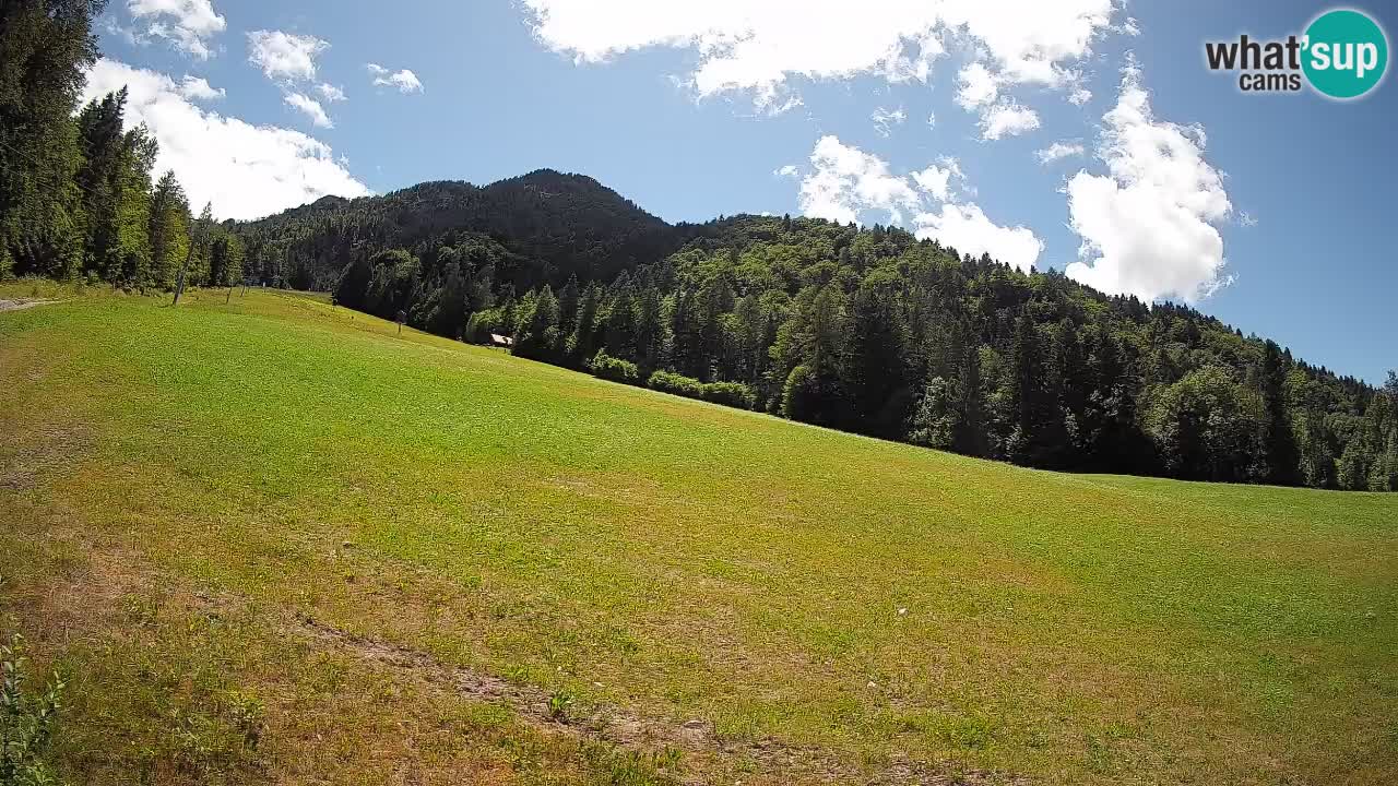 Kranjska Gora Station de ski | Brsnina