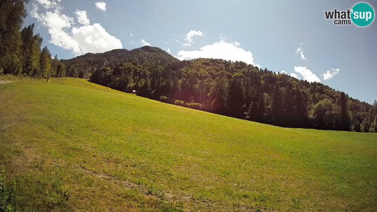 Esquí Kranjska Gora | Brsnina